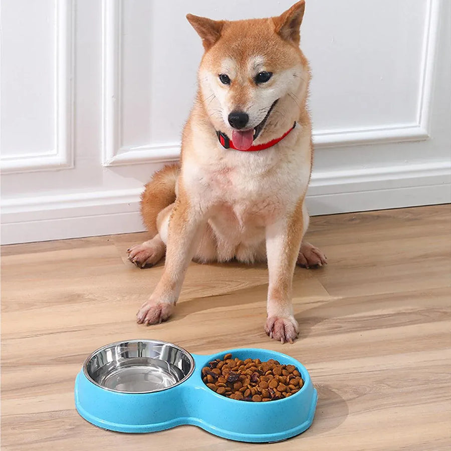 Dog Slow Feeder Double Bowl Pet Food and Water Dish - Pink