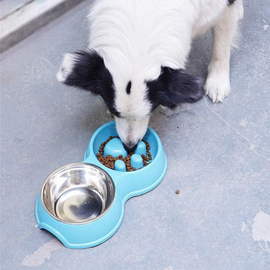 Dog Slow Feeder Double Bowl Pet Food and Water Dish - White