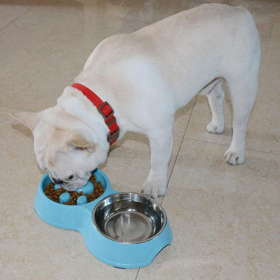Dog Slow Feeder Double Bowl Pet Food and Water Dish - White