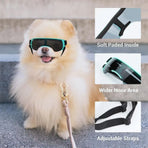 Pet Dog Sunglasses Goggles UV Eye Shield for Small Dogs Outdoor Travel Sunshade - Gold