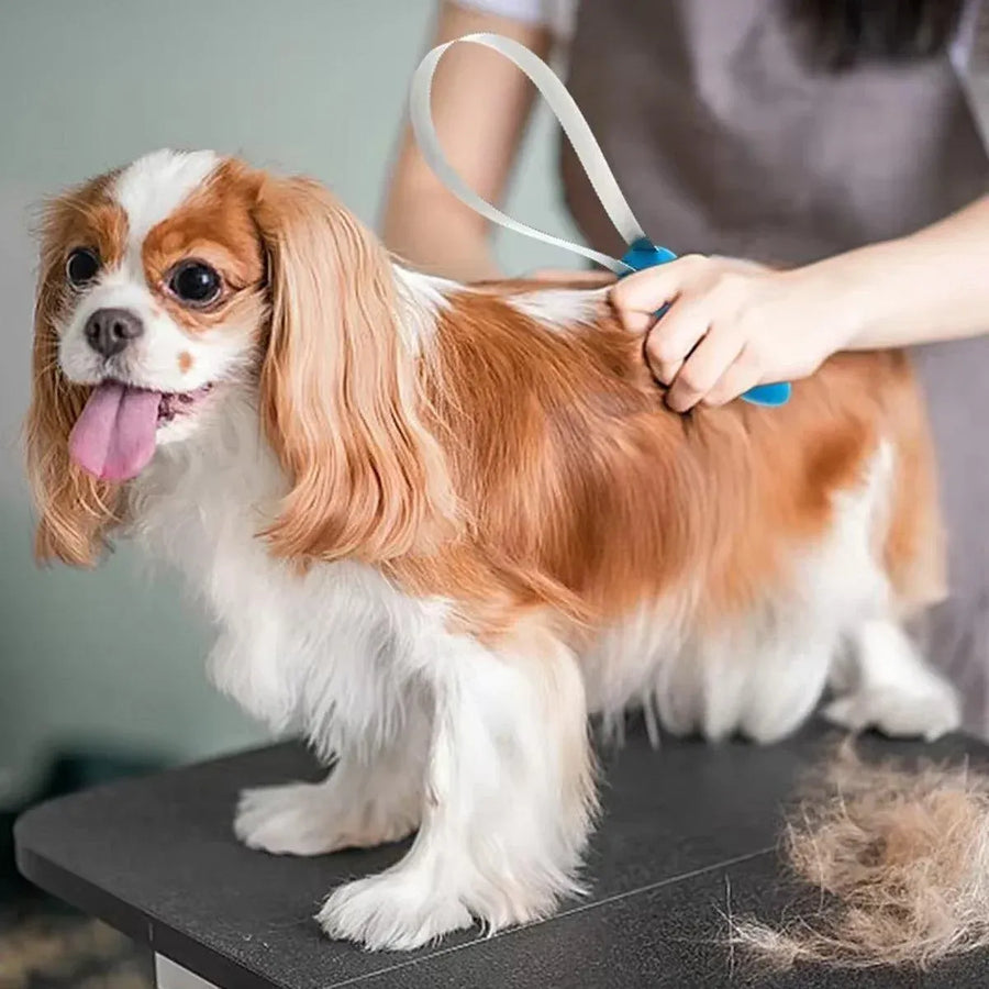 1 Dual-Sided Pet Grooming Tool, Blue