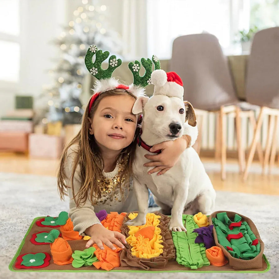 Pet Snuffle Mat Dog Hiding Toy Washable Interactive Puzzle Mat Boredom Relief