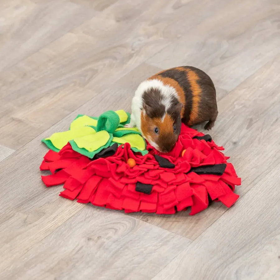 Strawberry Shaped Pet Snuffle Mat Slow Feeder Interactive Pet Puzzle Mat