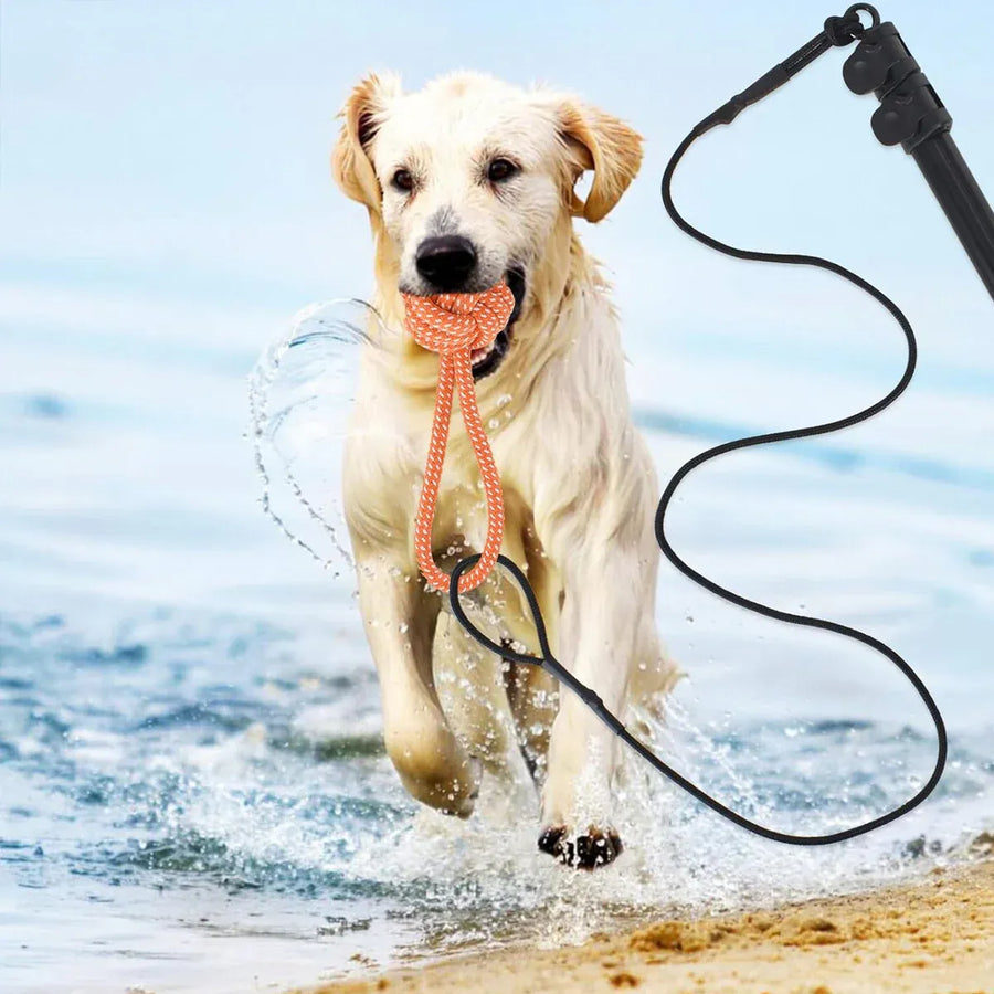 Retractable Dog Teaser Stick Dog Teaser Pole Toy For Dogs Interactive Pet Play