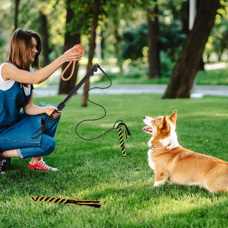 Retractable Dog Teaser Stick Dog Teaser Pole Toy For Dogs Interactive Pet Play