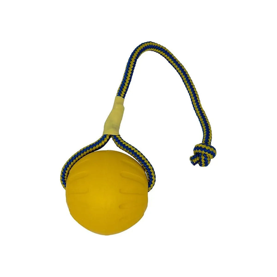 Pet Toys Dog Teething Training Toy Round Pull Ring Chew Ball Durable Play
