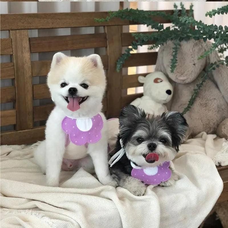 Pet Bandana Bib for Cats and Dogs Triangle Saliva Scarf for Decoration or Daily Use - Honeybee