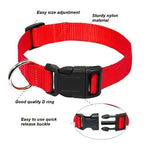 L Size Dog Puppy Pet Collar Adjustable Nylon Toy Large Pink Blue Red Black - Red