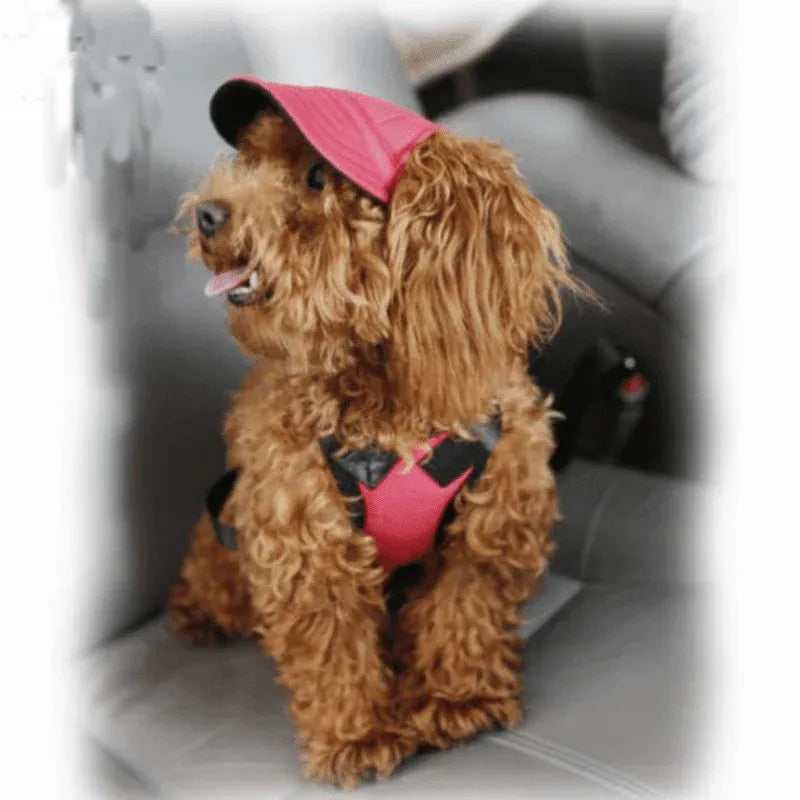 Dog Baseball Cap Outdoor Pet Sun Hat Summer Canvas Visor Puppy S Size - Red