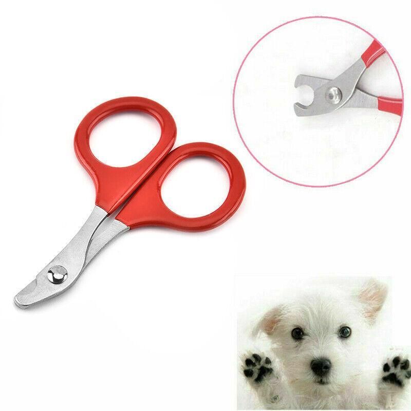 Pet Nail Claw Grooming Scissors Clippers For Dog Cat Bird Rabbit Ferret