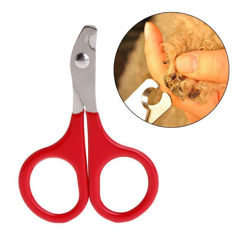 Pet Nail Claw Grooming Scissors Clippers For Dog Cat Bird Rabbit Ferret
