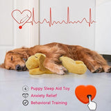Pet Puppy Cat Soft Plush Toy Heartbeat Sleeping Buddy Dog Behavioral Anxiety Aid