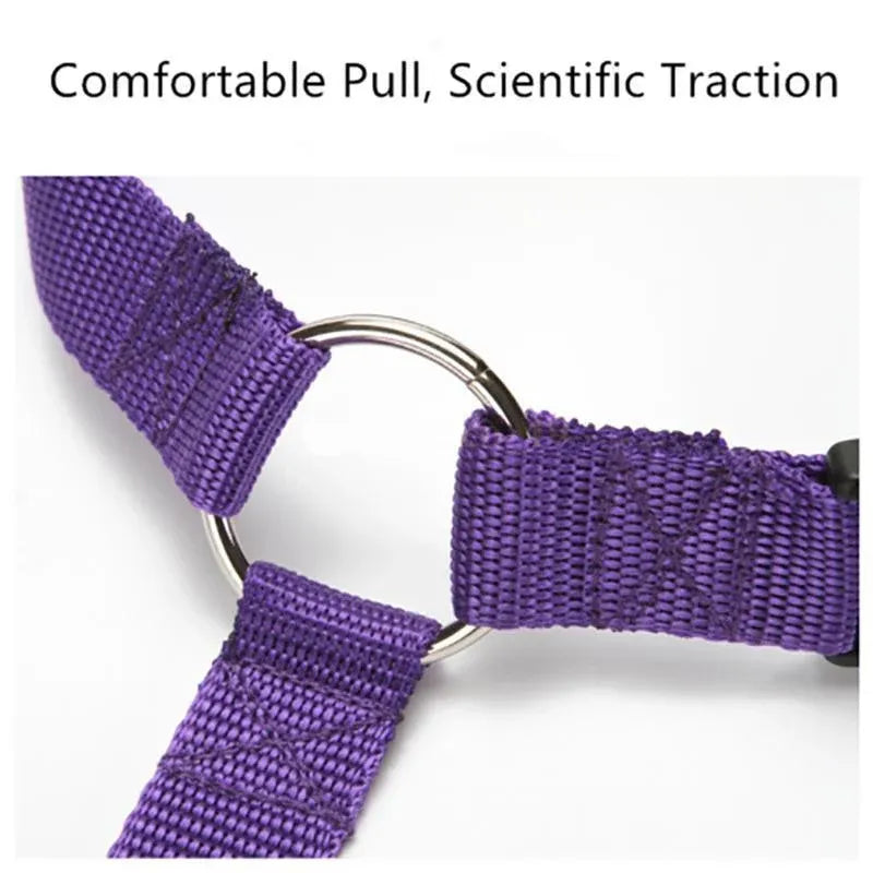 Adjustable Pet Dog Car Clip Lead Harness Strap for Vehicle Travel Restraint Use - Pink, image 11