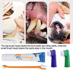 Pet Dog Teeth Cleaning Toothpaste with Toothbrush and Backup Brush Vanilla Flavoured