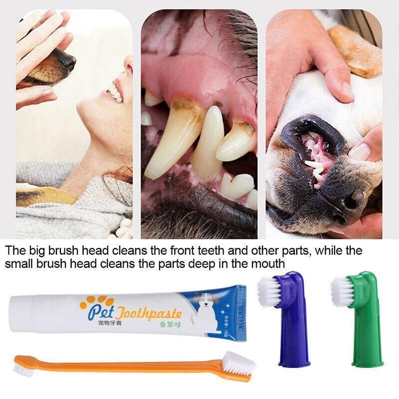Pet Dog Teeth Cleaning Toothpaste with Toothbrush and Backup Brush Vanilla Flavoured