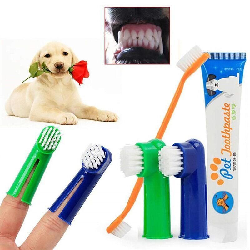 Pet Dog Teeth Cleaning Toothpaste with Toothbrush and Backup Brush Vanilla Flavoured