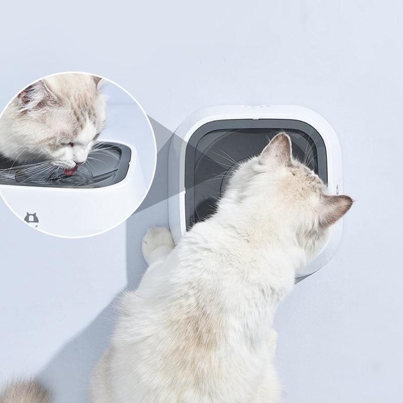 1.5L Pet Water Bowl No-Spill Design Slow Drinking Feeder with Non-Slip Base - Blue