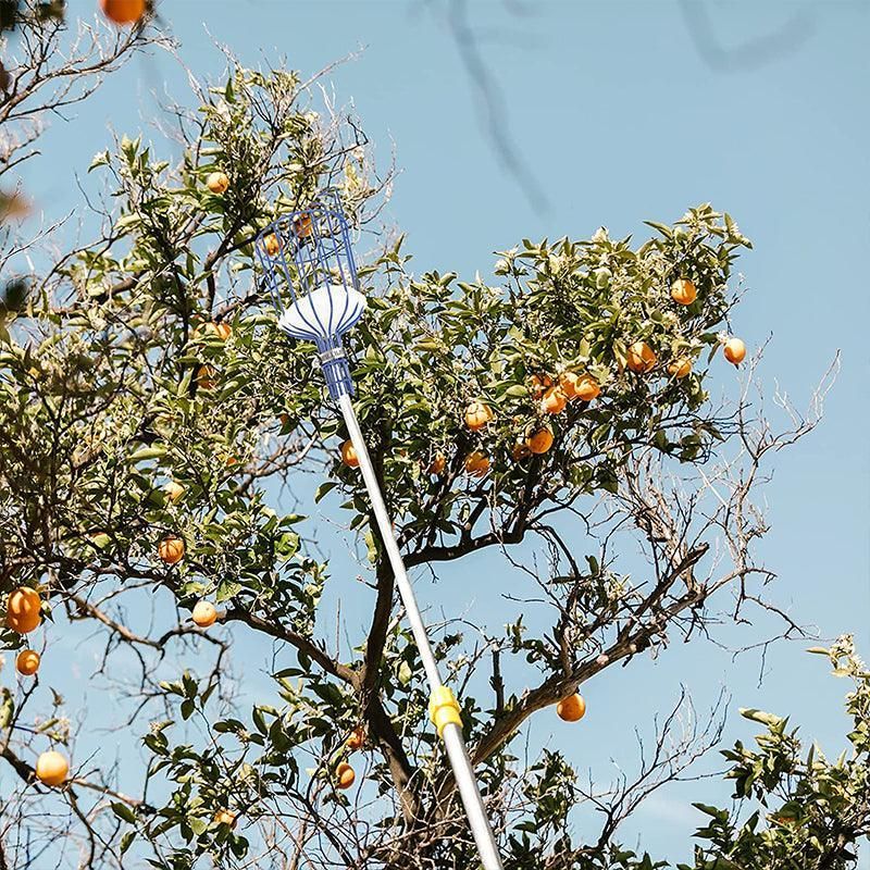 Horticultural Convenient Labor Saving Fruit Picker Tool Apple Picking Garden