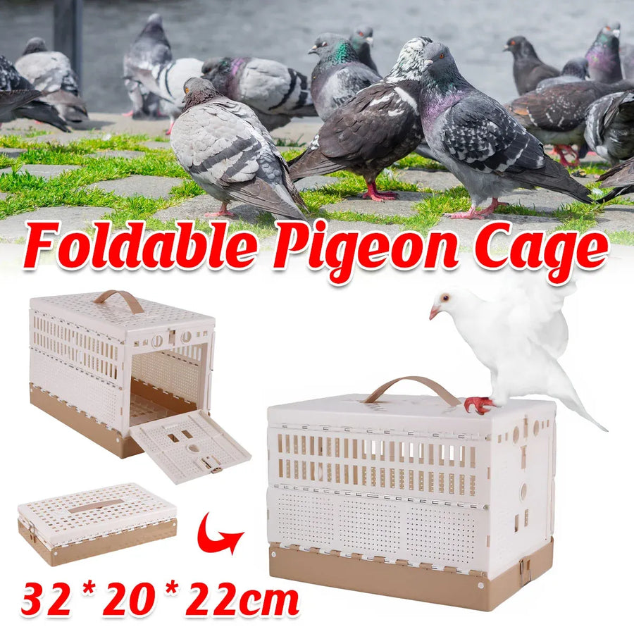Pigeon Cage Foldable Plastic Homing Pigeon Crate Carrier Training Transport Box