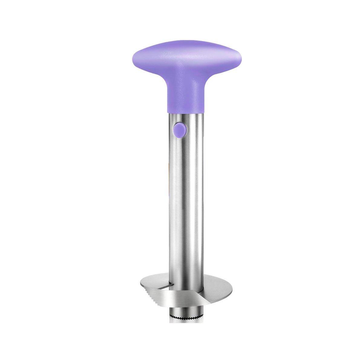 Stainless Steel Pineapple Corer Slicer Peeler Cutter Tool Easy Pineapple Cutter - Blue