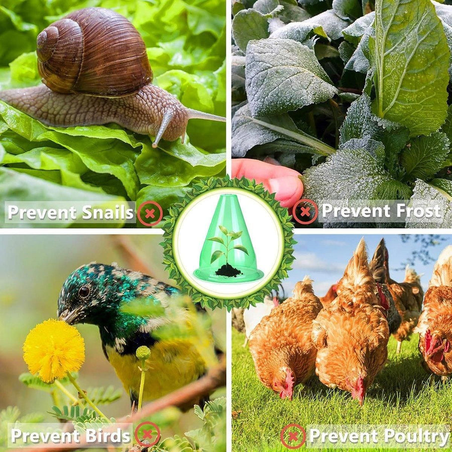 12PCS Clear Garden Plant Protector Bell Covers Round for Frost Birds Weather