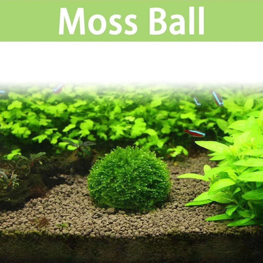 3pcs Aquarium Plastic Moss Ball Fish Decoration Aquatic Plant Accessories