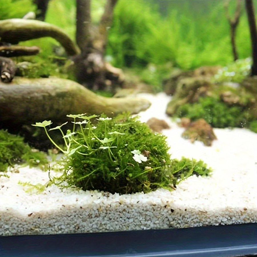 3pcs Aquarium Plastic Moss Ball Fish Decoration Aquatic Plant Accessories