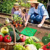 Sowing Templates Square Seed Spacing Gardening Planting Tools Vegetable Boards - Top-Down View