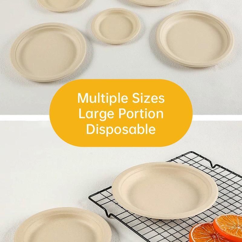 100x Biodegradable Sugarcane Paper Trays - Eco-Friendly & Durable for  Food - 7inches-100pcs