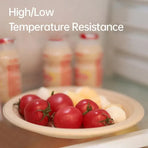 100x Biodegradable Sugarcane Paper Trays - Eco-Friendly & Durable for  Food - 9inches-100pcs