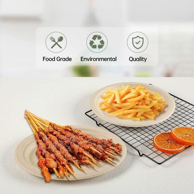 100x Biodegradable Sugarcane Paper Trays - Eco-Friendly & Durable for  Food - 9inches-100pcs