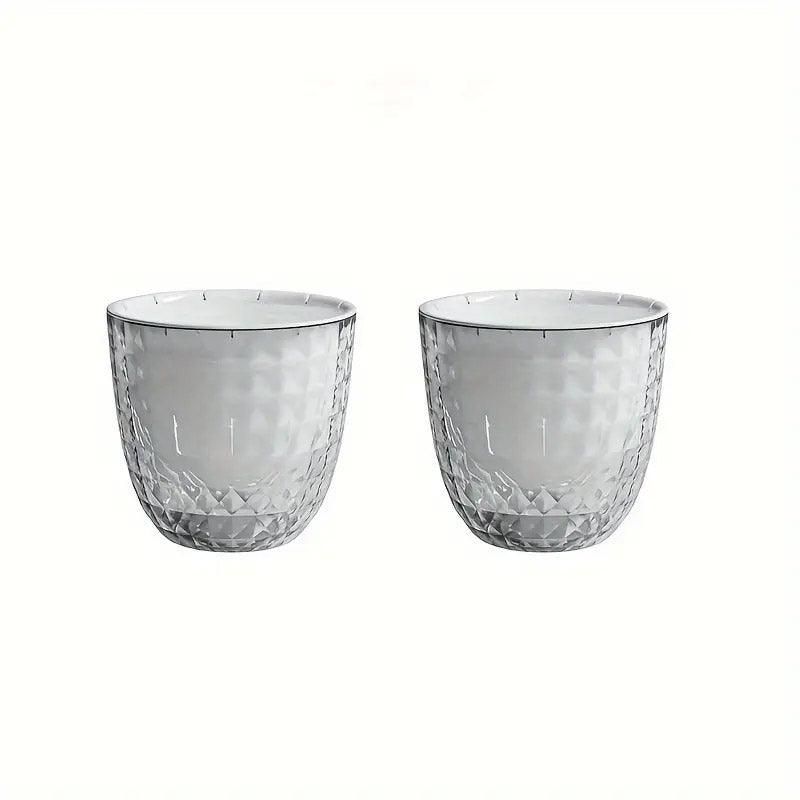 2pcs Transparent Self Watering Flowerpot Automatic Absorbent Planter Storage, Storage