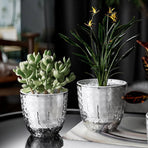 2pcs Transparent Self Watering Flowerpot Automatic Absorbent Planter Storage, image 5