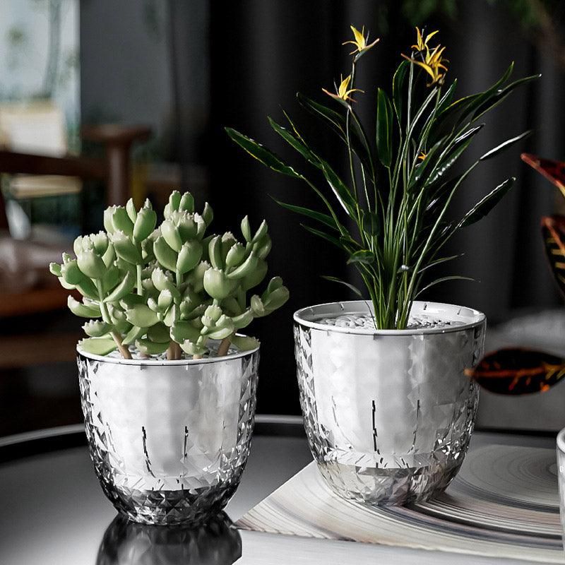 2pcs Transparent Self Watering Flowerpot Automatic Absorbent Planter Storage, image 5