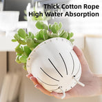 2pcs Transparent Self Watering Flowerpot Automatic Absorbent Planter Storage, image 6