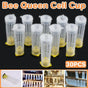 30pcs Bee Protective Covers Multi Functional King Cage Bee Bite Protector Shield