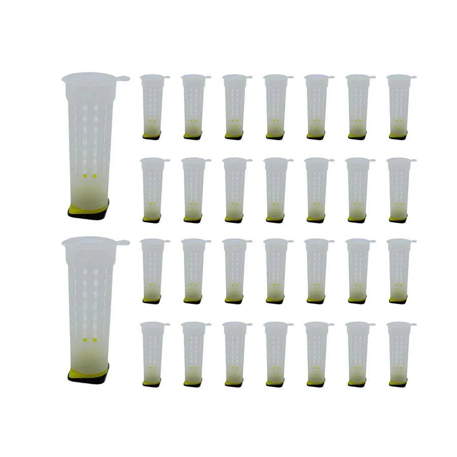 30pcs Bee Protective Covers Multi Functional King Cage Bee Bite Protector Shield