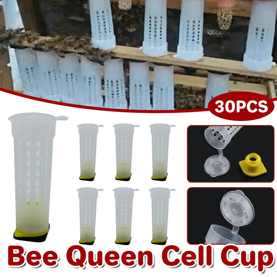 30pcs Bee Protective Covers Multi Functional King Cage Bee Bite Protector Shield
