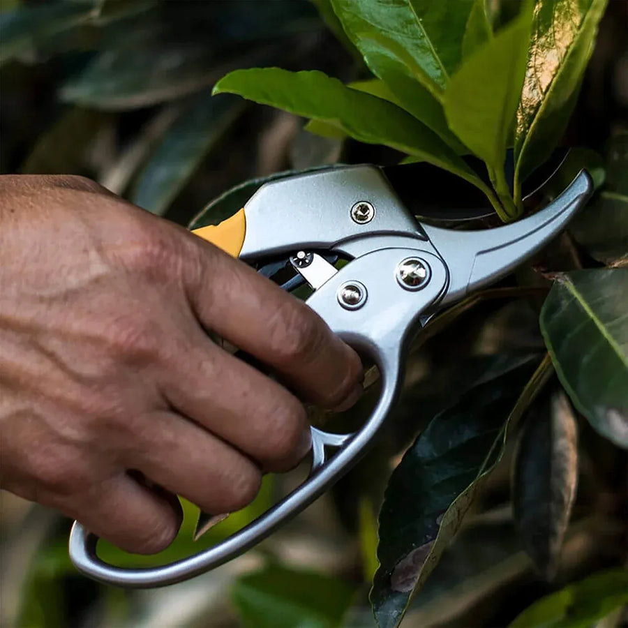 Pruning Shears Garden Fruit Branch Shears for Pruning Branches Sharp Fruit Trees