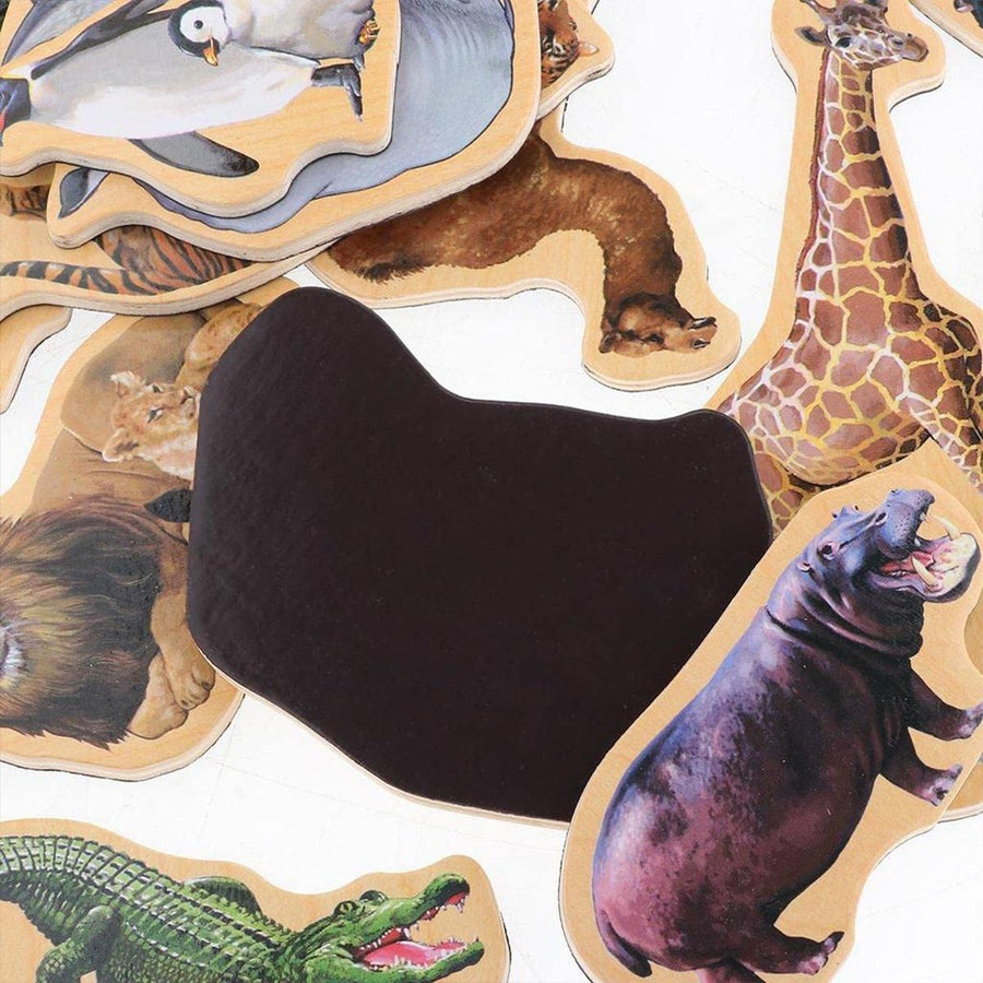 20-Piece Animal Magnet Pack with Carry Storage Box
