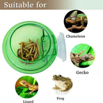 Suction Cup Reptile Feeder Anti-Escape Reptiles Water Bowl Live Fodder Container