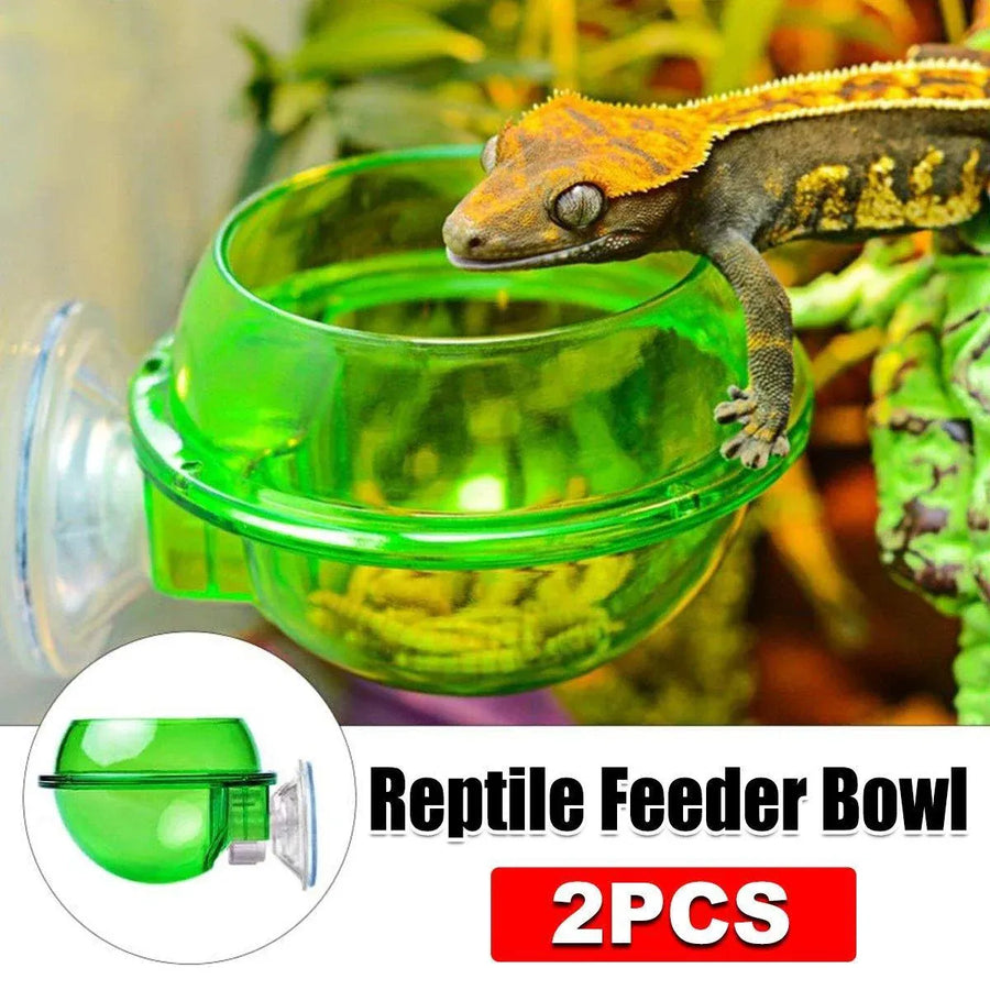 Suction Cup Reptile Feeder Anti-Escape Reptiles Water Bowl Live Fodder Container