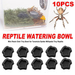 10-Piece Mini Reptile Feeding Bowl Set, Black