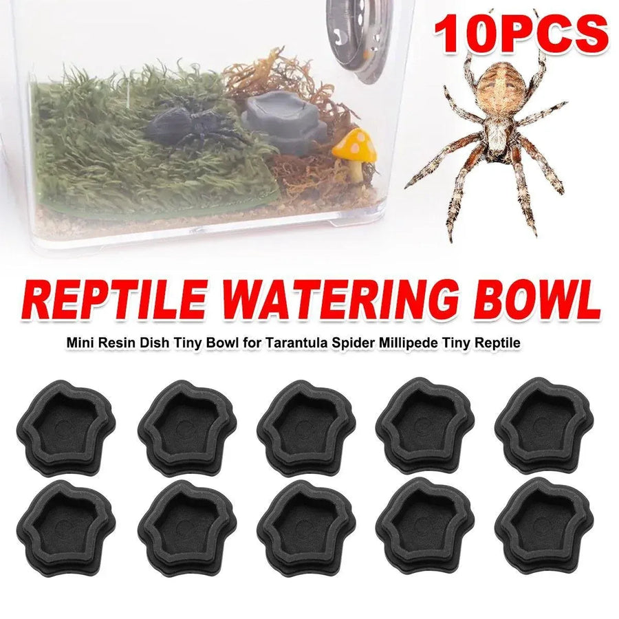 10-Piece Mini Reptile Feeding Bowl Set, Black