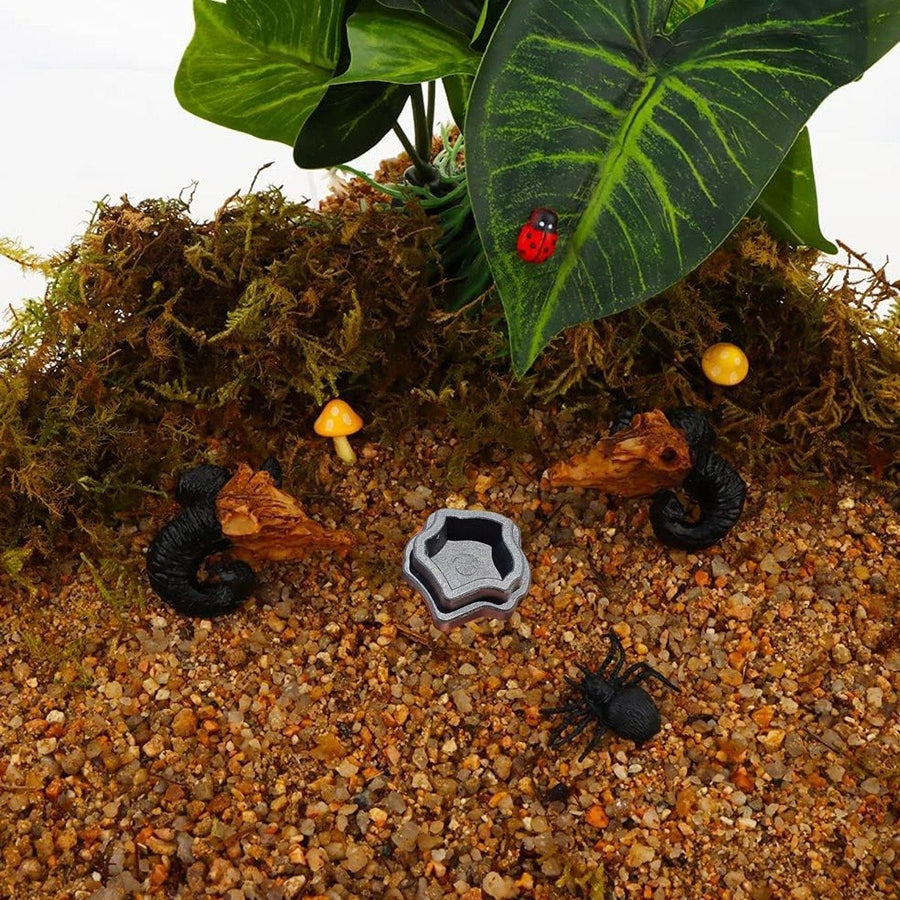 10-Piece Mini Reptile Feeding Bowl Set, Black