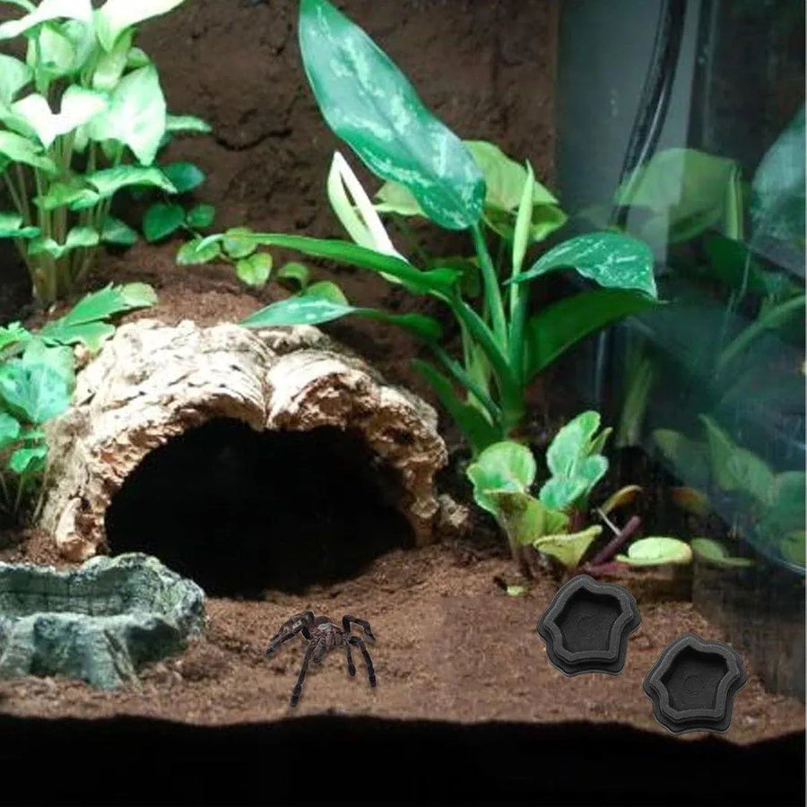 10-Piece Mini Reptile Feeding Bowl Set, Black