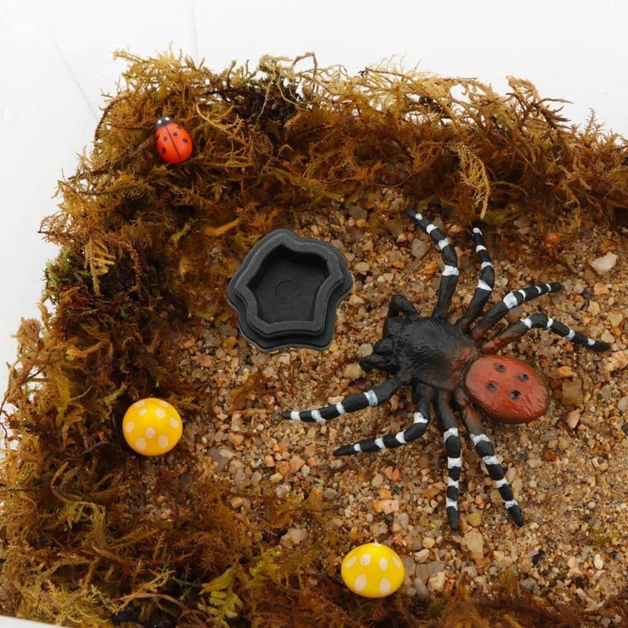 10-Piece Mini Reptile Feeding Bowl Set, Black