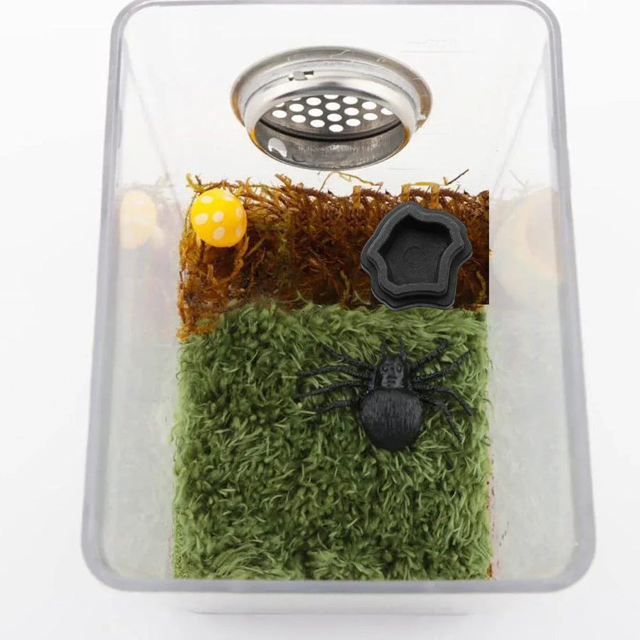 10-Piece Mini Reptile Feeding Bowl Set, Black