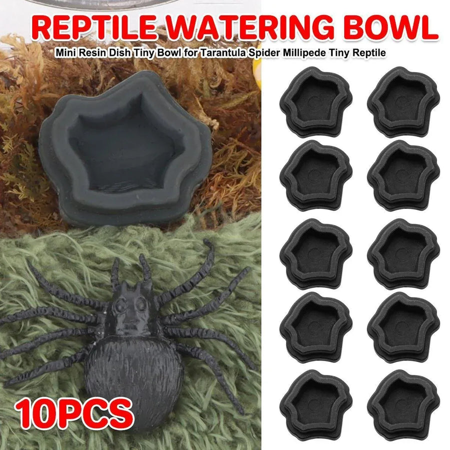 10-Piece Mini Reptile Feeding Bowl Set, Black
