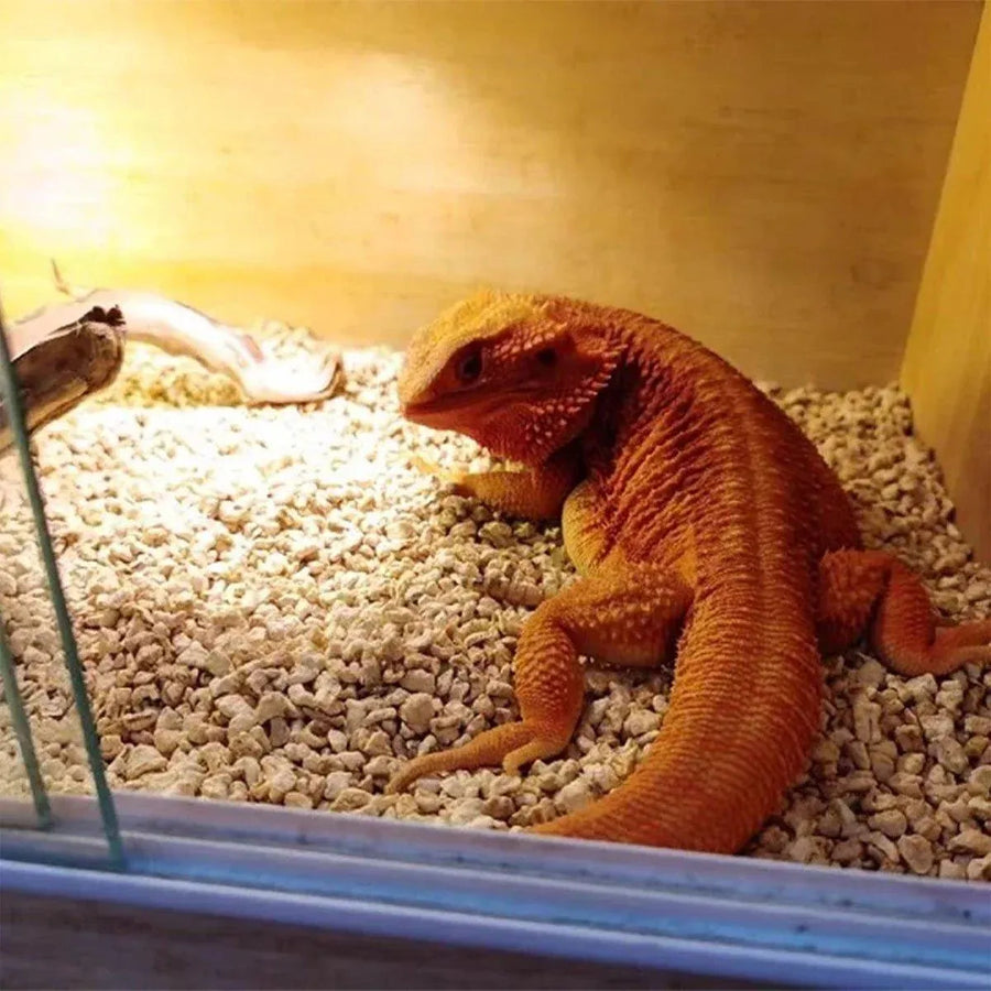 1-Bag Reptile Habitat Bedding Granules